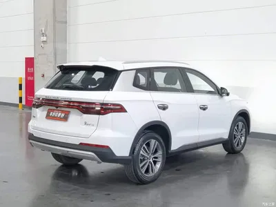 2019 BYD Song Pro 1.5T Automatic Luxury, фото 2, лот 10448430