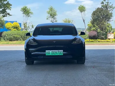 2020 Tesla Model 3 Standard Range Rear-Wheel Drive Upgrade, фото 2, лот 10351751