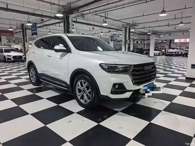 2021 Haval H6 Model National Trend Edition 1.5T Auto Champion, фото 3, лот 10373512