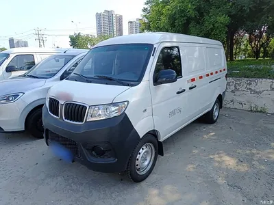 2024 Jinbei Little Sea Lion X30 1.5L Champion Panel Van 2/5-seater, фото 1, лот 11155574