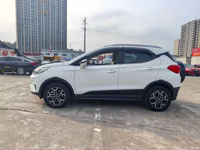 2021 BYD Yuan Pro Lifetime Love Edition, фото 4, лот 11178898