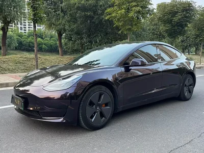 2022 Tesla Model 3 Model Rear-Wheel Drive Version, фото 1, лот 10364994