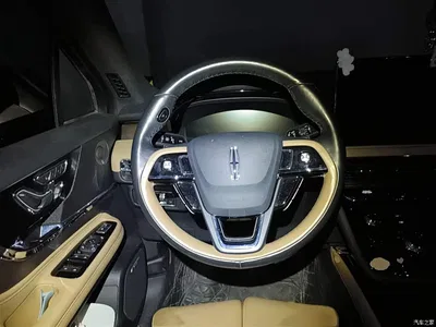 2020 Lincoln Adventurer 2.0T AWD Premium Edition, фото 3, лот 10357531