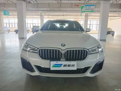 2021 BMW 5 Series 530Li Premium M Sport Package, фото 2, лот 11549852
