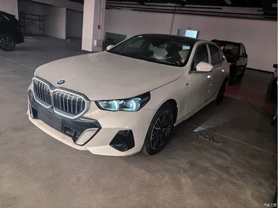 2025 BMW 5 Series 530Li Leading M Sport Package, фото 1, лот 10676263