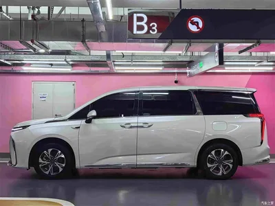 2022 SAIC Maxus Dajia 9 Long Range Grassland 7-Seater, фото 3, лот 11151757