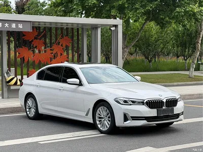 2022 BMW 5 Series 525Li Luxury Package, фото 3, лот 11006423
