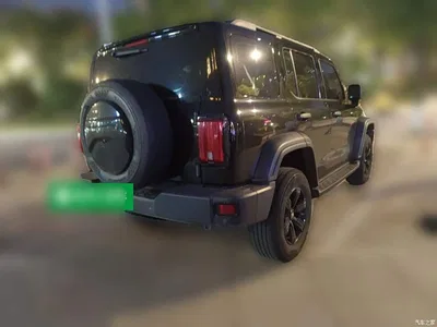 2021 Tank 300 Off-road Edition 2.0T Challenger, фото 4, лот 11141577