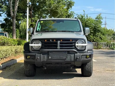 2021 Tank 300 Off-road Version 2.0T Conqueror, фото 2, лот 10476270