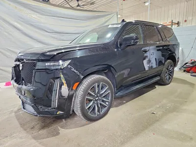 2023 CADILLAC ESCALADE SPORT, фото 1, лот 10866598