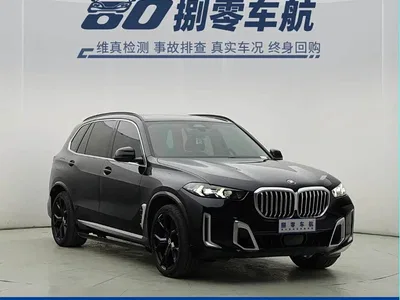 2023 BMW X5 xDrive 30Li Premium M Sport Package, фото 3, лот 10409676