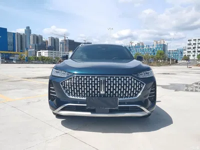 2021 WEY Mocha 2.0T 2WD Premium Edition, фото 2, лот 11182090