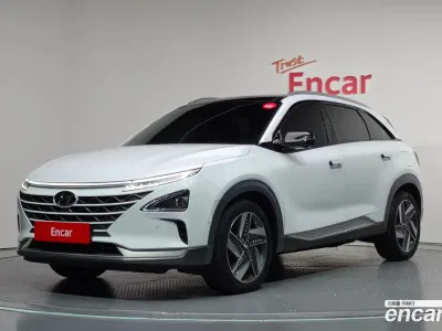 2021 Hyundai Nexo Premium, фото 1, лот 10514670