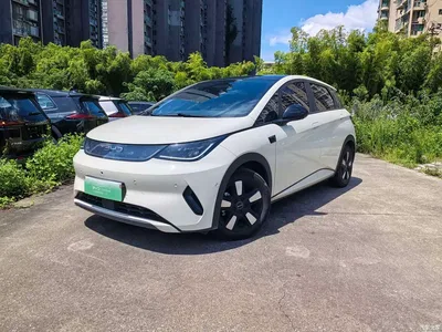 2025 BYD Dolphin Smart Drive Edition 410km Fashion Version, фото 1, лот 10474339