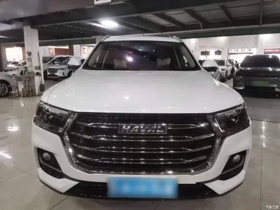 2021 Haval H6 National Trend Edition 1.5GDIT Automatic Champion Edition, фото 3, лот 10283878