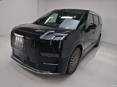 2024 ZEEKR 009 7-Seat Aisle Version 108kWh, фото 2, лот 10887931