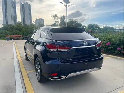 2020 Lexus RX 300 AWD Elegance Edition China V, фото 4, лот 10318089