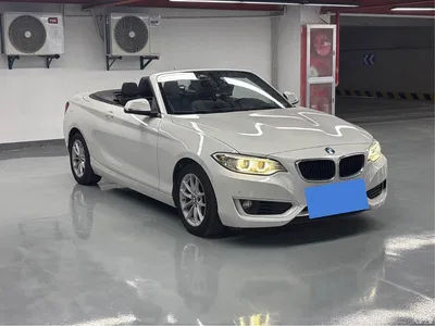 2015 BMW 2 Series (Import) 218i Convertible Coupe, фото 3, лот 10471445