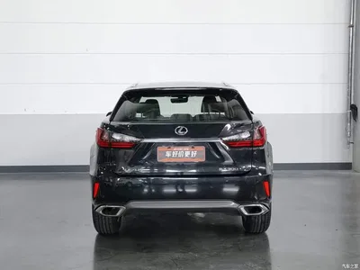 2016 Lexus RX 300 2WD Elite Edition (China V), фото 4, лот 10314838