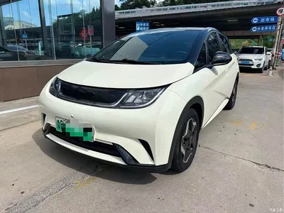2021 BYD Dolphin Model 405km Fashion Edition, фото 1, лот 10476636