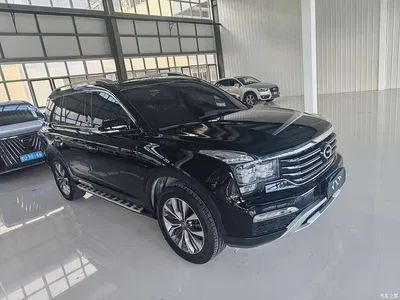 2017 GAC Trumpchi Trumpchi GS8 320T 2WD Luxury Smart Connect (7-seater), фото 2, лот 10416044