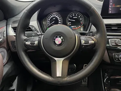 2021 BMW X2 sDrive25i Edge Edition, фото 4, лот 10475420