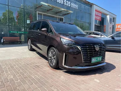 2020 Buick GL8 Model ES Landglory 653T Luxury, фото 3, лот 10254989