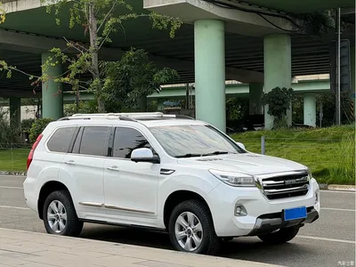 2020 Haval H9 2.0T Gasoline 4WD Luxury 7-Seater, фото 3, лот 11196705