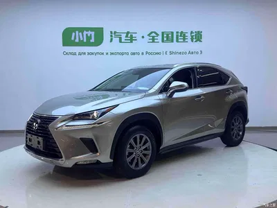 2020 Lexus NX 200 AWD F Sport China V, фото 1, лот 10446003