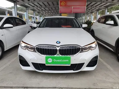 2021 BMW 3 Series Second Facelift 325Li M Sport Package, фото 3, лот 10458121
