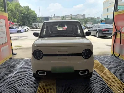2025 Geely Galaxy Panda mini 210km Vitality Bear, фото 3, лот 10433323
