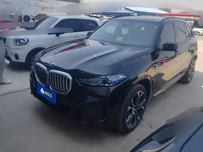 2026 BMW X5 Facelift xDrive 40Li Exclusive M Sport Shadowline Package, фото 1, лот 10479112