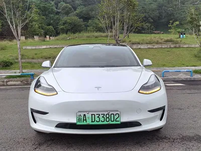 2020 Tesla Model 3 Facelift Long Range Rear-Wheel Drive, фото 2, лот 11249034