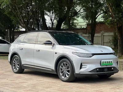 2021 Leapmotor C11 Luxury Edition, фото 2, лот 10444173