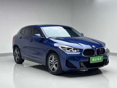 2021 BMW X2 sDrive25i M Sport Package, фото 3, лот 10621252