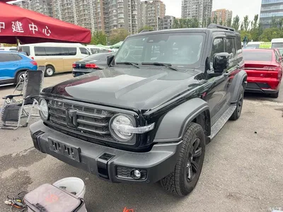 2024 Tank 300 Model 2.0T Challenger, фото 1, лот 11199643