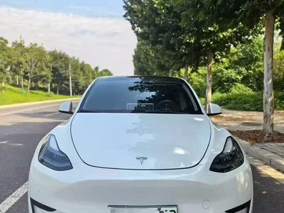 2022 Tesla Model Y Facelift Rear-Wheel Drive Version, фото 3, лот 11178824