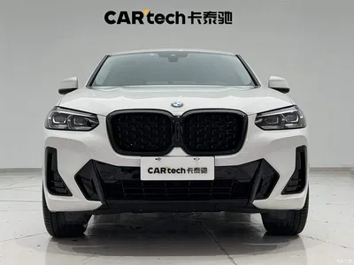 2022 BMW X4 xDrive 25i M Sport Package, фото 2, лот 10439975