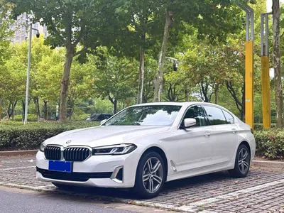 2020 BMW 5 Series 530Li Leading Luxury Package, фото 1, лот 11174695