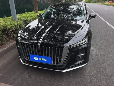 2023 Hongqi H5 2.0T Auto Smart Connect Flag Enjoy, фото 2, лот 10416121
