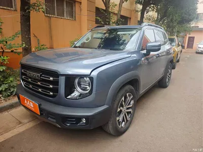 2021 Haval Big Dog 1.5T DCT 2WD Border Collie - Wangcai Edition, фото 1, лот 11585746