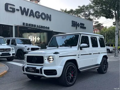 2021 Mercedes-Benz G-Class AMG AMG G 63, фото 1, лот 10300113