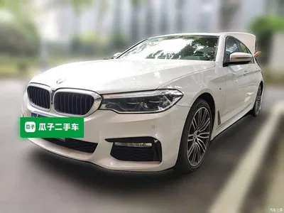 2018 BMW 5 Series Facelift 530Li Exclusive M Sport Package, фото 1, лот 10592831