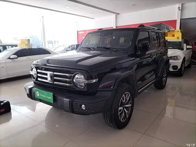 2023 Tank 300 Urban Edition 2.0T Very Stylish, фото 2, лот 10345445