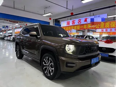 2023 Haval Da Gou 2nd Gen 2.0T 2WD Trendy Off-road Edition, фото 3, лот 11203375