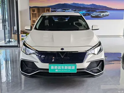 2023 Venucia D60EV PLUS Comfort RJ Type, фото 2, лот 11151639