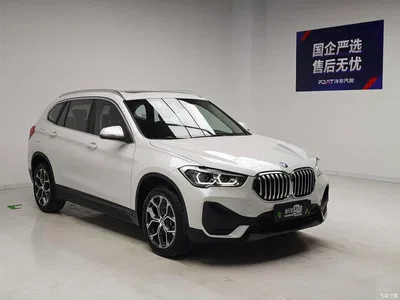 2020 BMW X1 sDrive25Li Leading Model, фото 3, лот 10428967