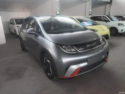 2021 BYD Dolphin Model 405km Fashion Edition, фото 4, лот 11090016
