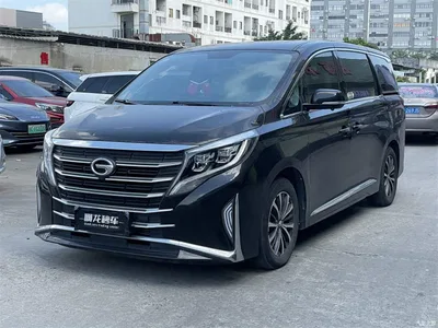 2021 GAC Trumpchi Trumpchi M8 Leading Show Series 390T Premium Edition, фото 1, лот 11216041