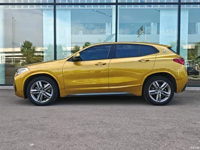 2021 BMW X2 sDrive25i Leading M Sport Package, фото 2, лот 10444208